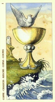 Cups01.JPG