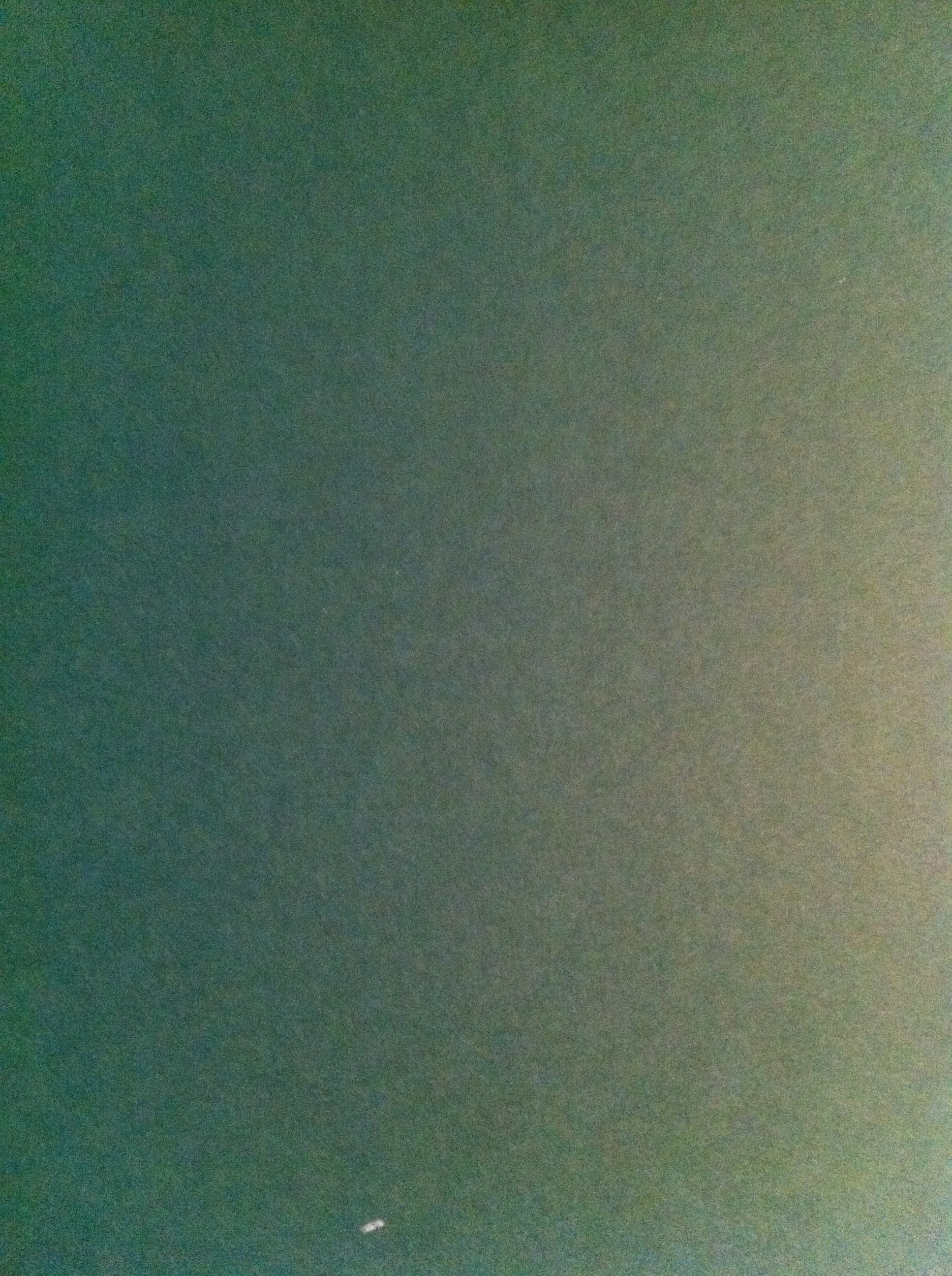 IMG_0009.JPG