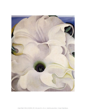 georgia-o-keeffe-bella-donna.jpg