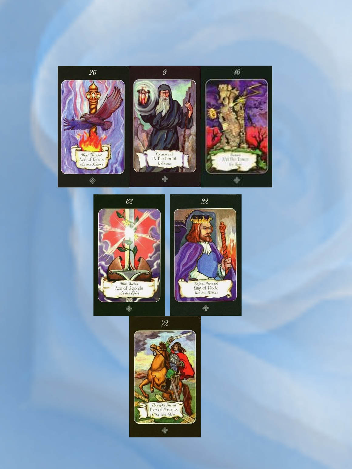 7981.jpg