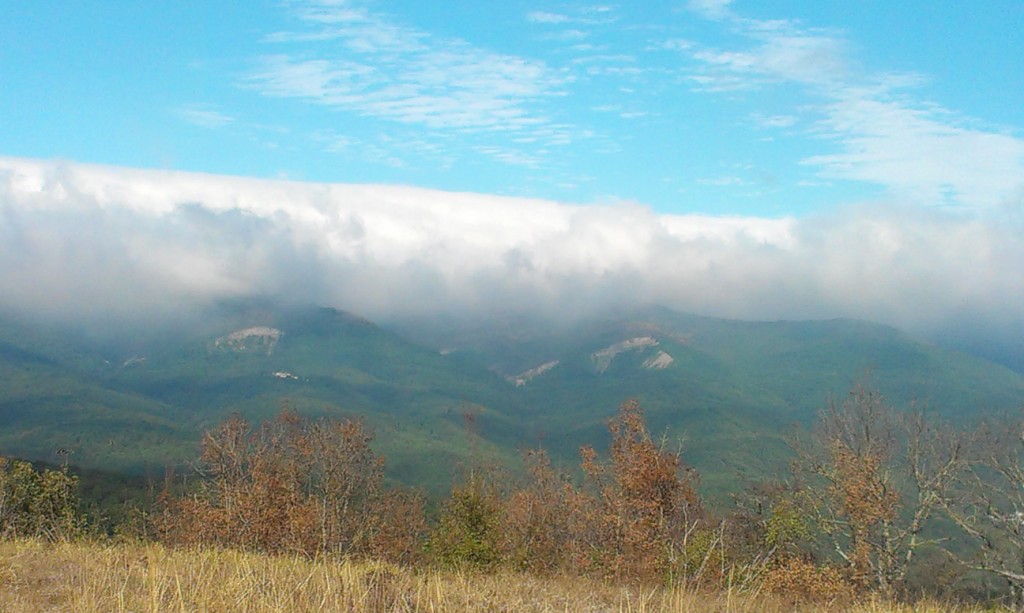 IMAG04711.jpg