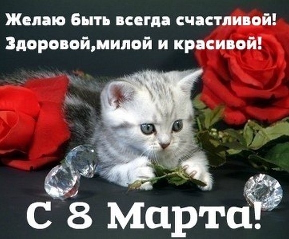 8 марта_котёнок и розы.jpg