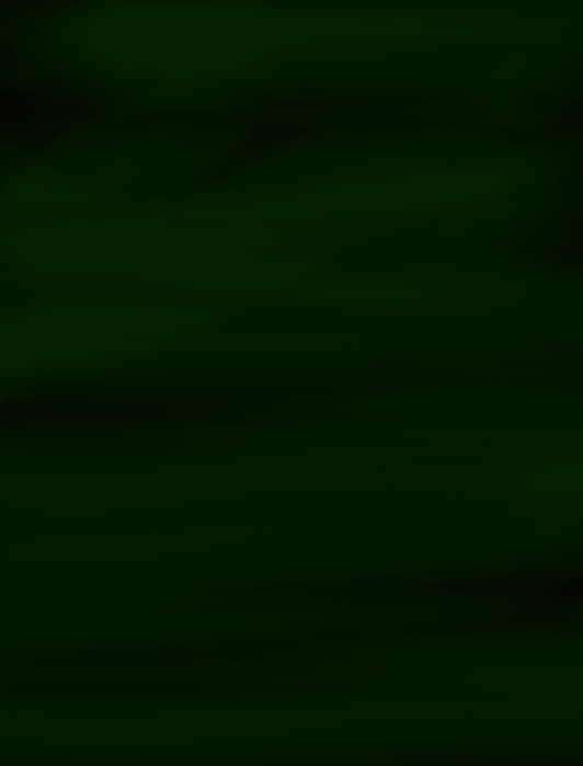 zadanie3veiled.jpg