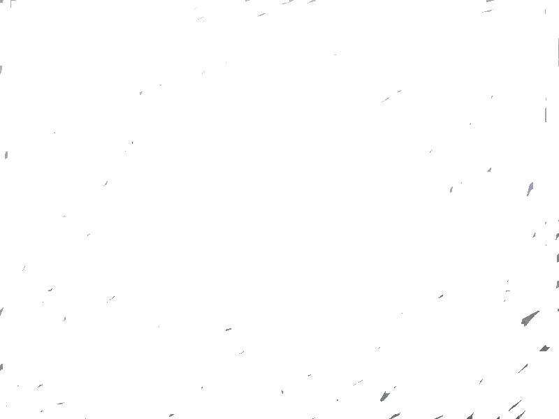 535.JPG