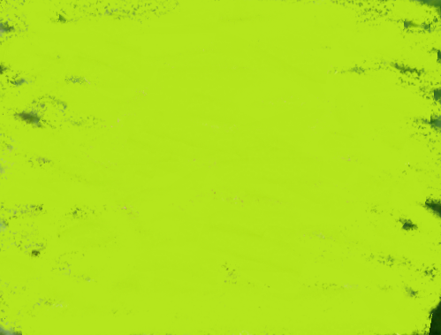 цветок!.png