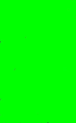 600.JPG