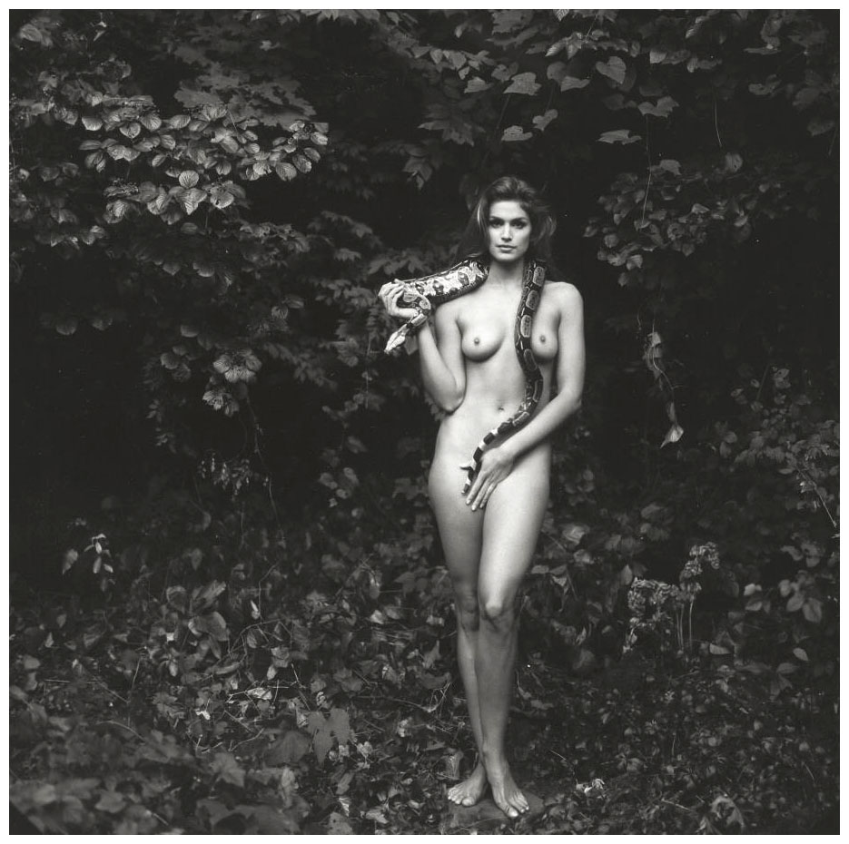 cindy-crawford-by-annie-leibovitz-1993b.jpg