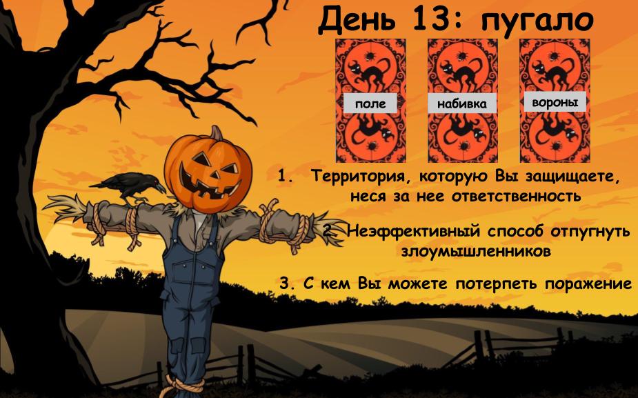 d13.jpg