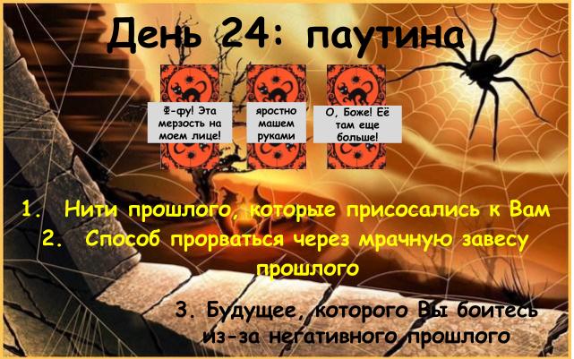 d24.jpg