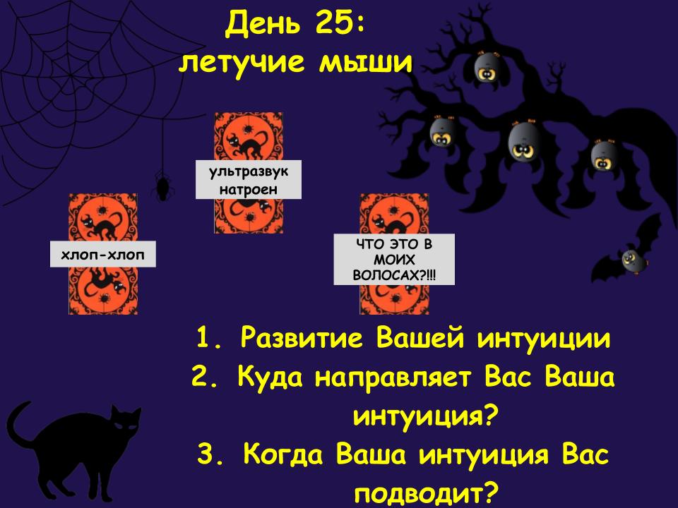 d25.jpg