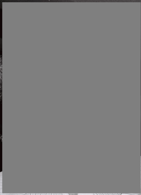 ir2копия.png