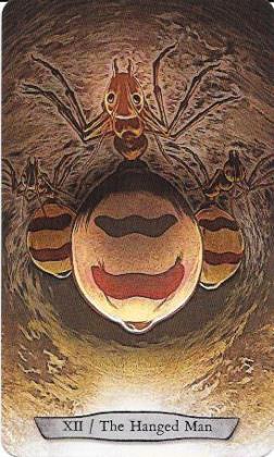 Animal Totem Tarot Hanged Man Spider.jpg