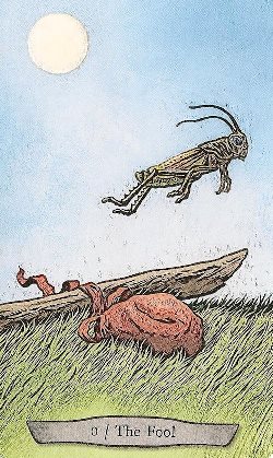 anitotemfool.jpg