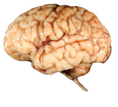 108.jpg