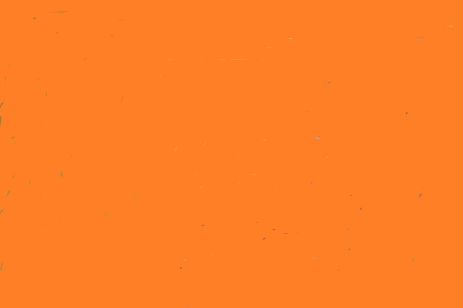 pic.jpg