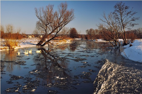 весна.jpg