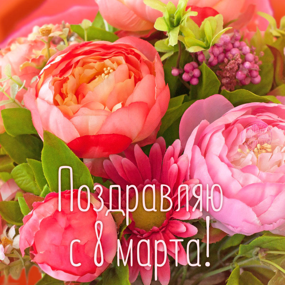 vosmoe-marta-626.jpg