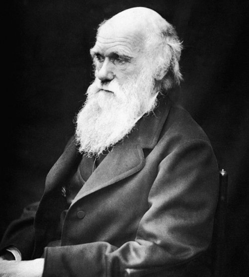 1505468493_1.jpg