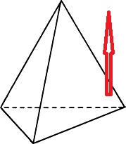 2995033.jpg