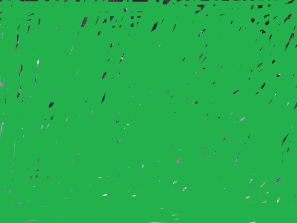 88.jpg