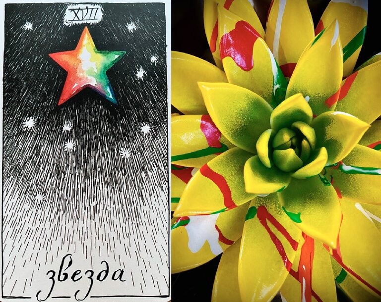 STAR_ECHEVERIA.jpg