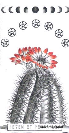 7_OF_PENTACLES.jpeg